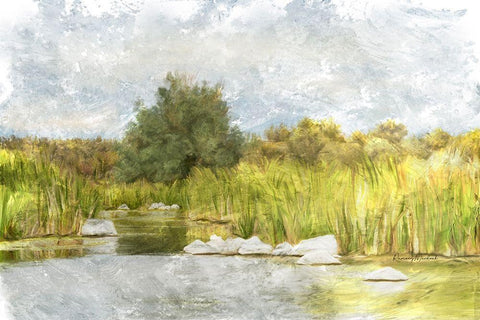 Marshy Wetlands No. 1 Black Ornate Wood Framed Art Print with Double Matting by Murdock, Ramona