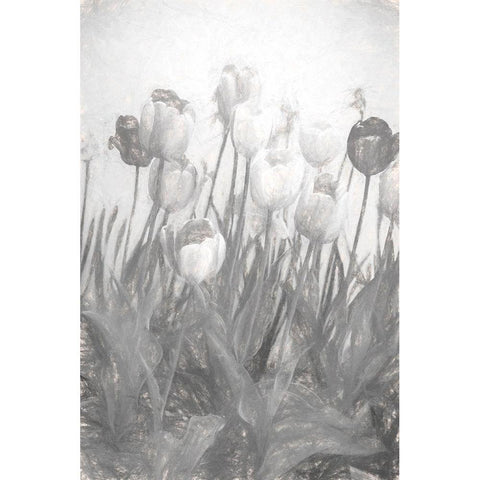 Tulips I Gold Ornate Wood Framed Art Print with Double Matting by Murdock, Ramona