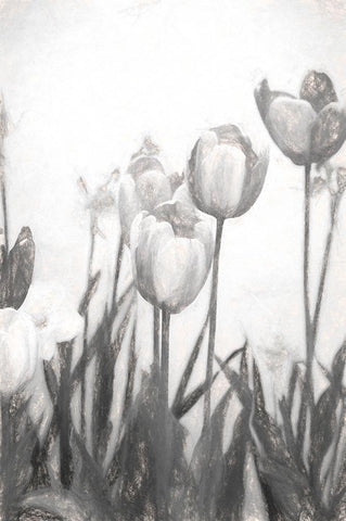 Tulips IV Black Ornate Wood Framed Art Print with Double Matting by Murdock, Ramona