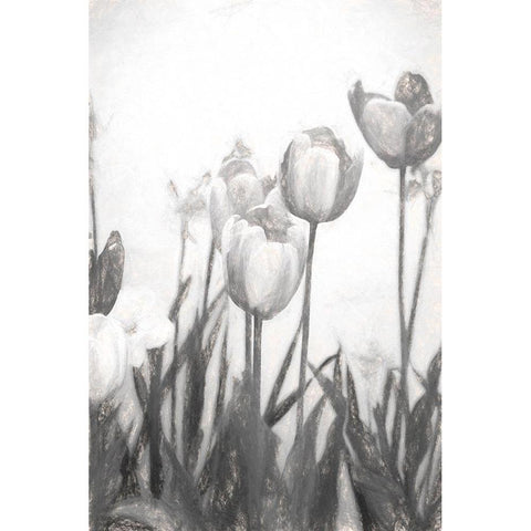Tulips IV White Modern Wood Framed Art Print by Murdock, Ramona