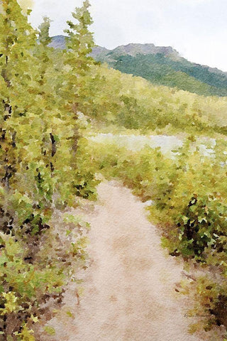 High Country Vista No. 2 White Modern Wood Framed Art Print with Double Matting by Murdock, Ramona