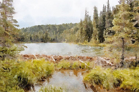 Mountain Paradise No. 3 White Modern Wood Framed Art Print with Double Matting by Murdock, Ramona