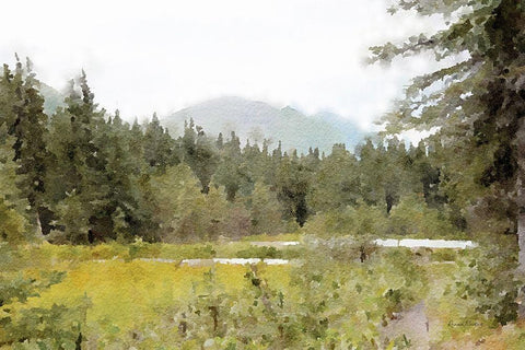 Mountain Tranquility No. 1 Black Ornate Wood Framed Art Print with Double Matting by Murdock, Ramona