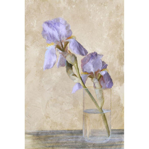 Blue Iris Stem White Modern Wood Framed Art Print by Murdock, Ramona