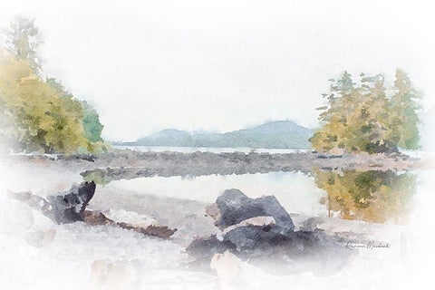 Ketchikan Inlet II Black Ornate Wood Framed Art Print with Double Matting by Murdock, Ramona