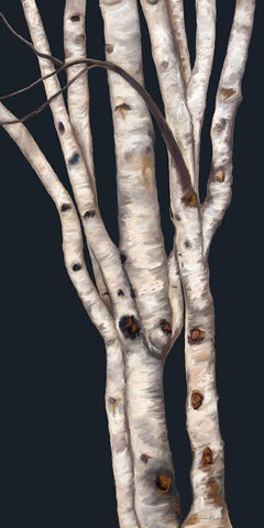 Birch Tree II Black Ornate Wood Framed Art Print with Double Matting by Murdock, Ramona