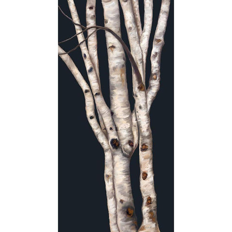 Birch Tree II Black Modern Wood Framed Art Print with Double Matting by Murdock, Ramona
