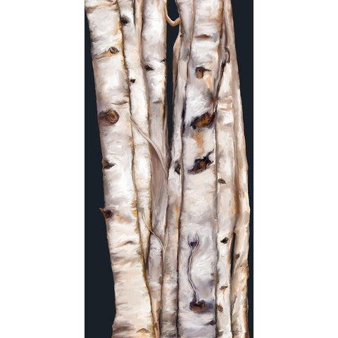 Birch Tree III Black Modern Wood Framed Art Print with Double Matting by Murdock, Ramona