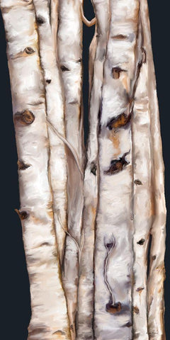 Birch Tree III Black Ornate Wood Framed Art Print with Double Matting by Murdock, Ramona