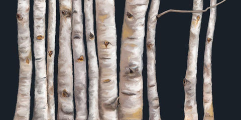 Birch Grove I Black Ornate Wood Framed Art Print with Double Matting by Murdock, Ramona