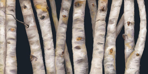 Birch Grove II White Modern Wood Framed Art Print with Double Matting by Murdock, Ramona