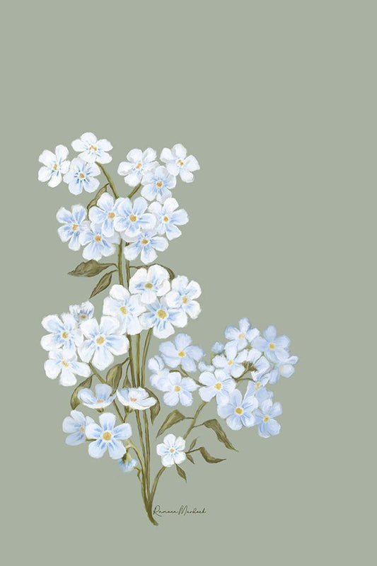Image Only