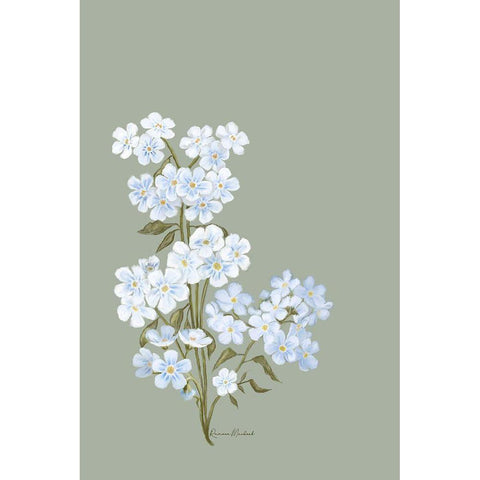 Small White Flowers Black Modern Wood Framed Art Print with Double Matting by Murdock, Ramona