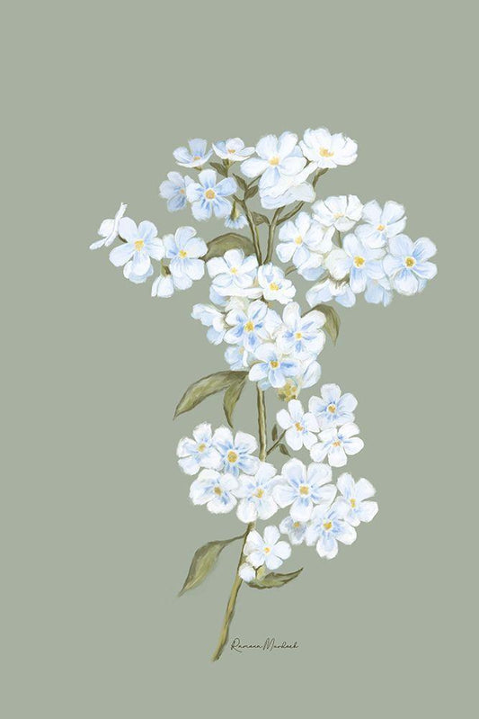 Image Only