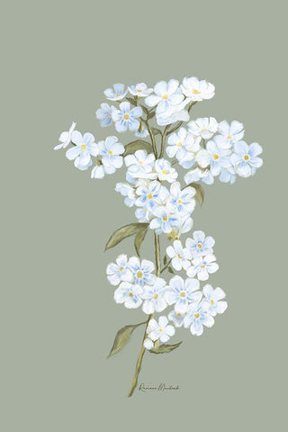 Small White Flowers II Black Ornate Wood Framed Art Print with Double Matting by Murdock, Ramona