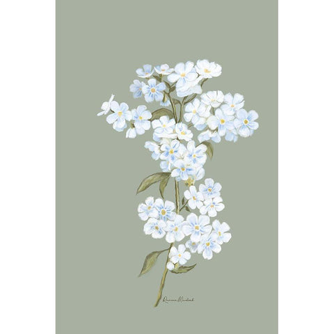 Small White Flowers II Black Modern Wood Framed Art Print with Double Matting by Murdock, Ramona