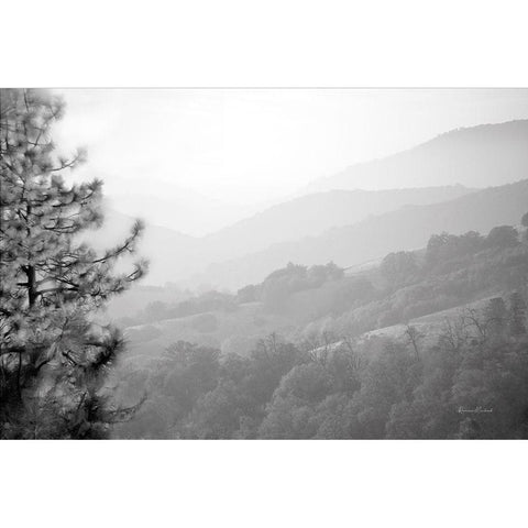 Hazy Valley Black Modern Wood Framed Art Print with Double Matting by Murdock, Ramona