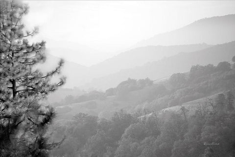 Hazy Valley Black Ornate Wood Framed Art Print with Double Matting by Murdock, Ramona