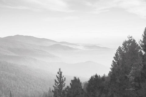 Hazy Valley III White Modern Wood Framed Art Print with Double Matting by Murdock, Ramona