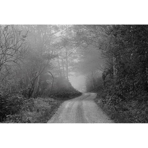 Misty Mtn. Road Black Modern Wood Framed Art Print with Double Matting by Murdock, Ramona