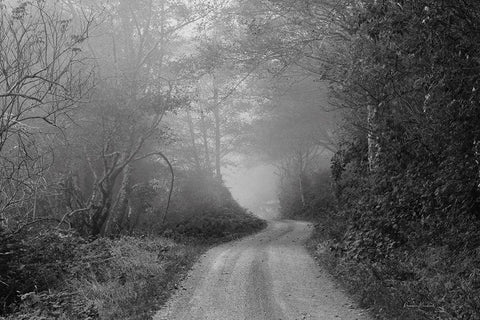 Misty Mtn. Road White Modern Wood Framed Art Print with Double Matting by Murdock, Ramona