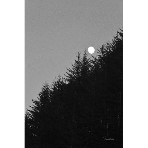 Piney Mountain Black Modern Wood Framed Art Print with Double Matting by Murdock, Ramona