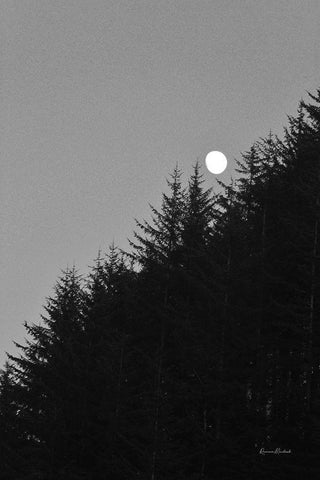 Piney Mountain Black Ornate Wood Framed Art Print with Double Matting by Murdock, Ramona