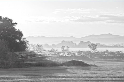 Valley Morning Mist White Modern Wood Framed Art Print with Double Matting by Murdock, Ramona