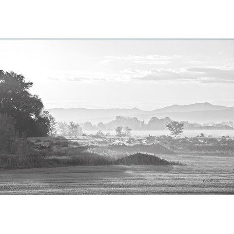 Valley Morning Mist White Modern Wood Framed Art Print by Murdock, Ramona