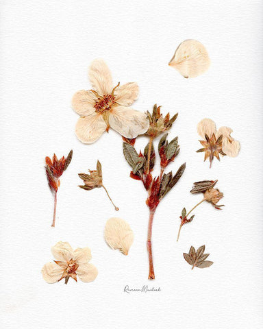 Parts and Pieces Black Ornate Wood Framed Art Print with Double Matting by Murdock, Ramona