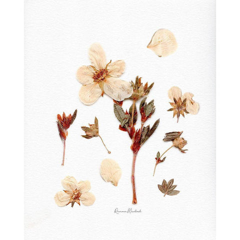 Parts and Pieces White Modern Wood Framed Art Print by Murdock, Ramona