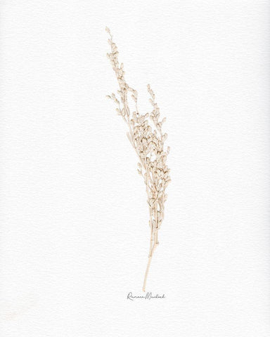 Weed Seed White Modern Wood Framed Art Print with Double Matting by Murdock, Ramona