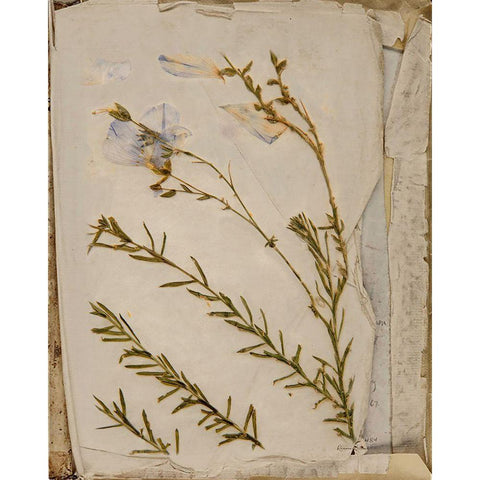 Book of Memories Black Modern Wood Framed Art Print with Double Matting by Murdock, Ramona