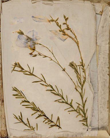 Book of Memories White Modern Wood Framed Art Print with Double Matting by Murdock, Ramona