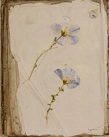 Pressed in a Book Black Ornate Wood Framed Art Print with Double Matting by Murdock, Ramona