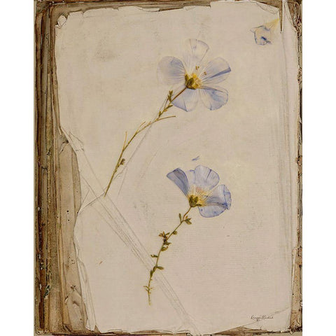 Pressed in a Book Black Modern Wood Framed Art Print by Murdock, Ramona