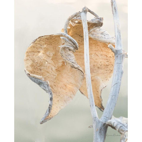 Milkweed IV White Modern Wood Framed Art Print by Murdock, Ramona