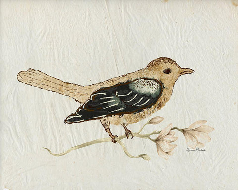 Bird Study No. 1 Black Ornate Wood Framed Art Print with Double Matting by Murdock, Ramona