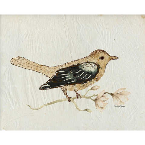 Bird Study No. 1 Black Modern Wood Framed Art Print by Murdock, Ramona