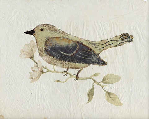 Bird Study No. 2 Black Ornate Wood Framed Art Print with Double Matting by Murdock, Ramona