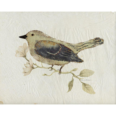 Bird Study No. 2 Black Modern Wood Framed Art Print by Murdock, Ramona