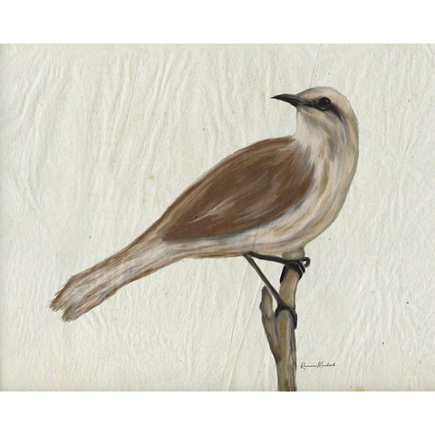 Mockingbird Medley IV Black Modern Wood Framed Art Print with Double Matting by Murdock, Ramona
