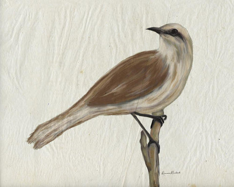 Mockingbird Medley IV Black Ornate Wood Framed Art Print with Double Matting by Murdock, Ramona