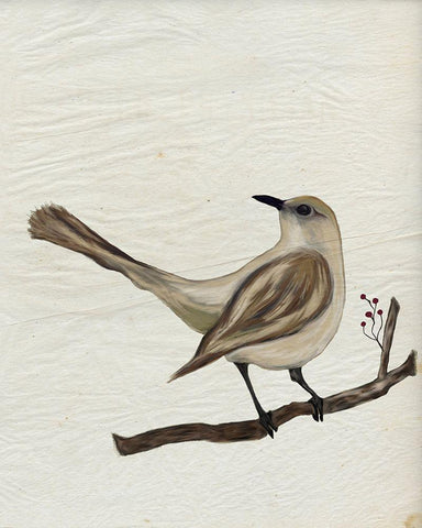 Mockingbird Medley V White Modern Wood Framed Art Print with Double Matting by Murdock, Ramona