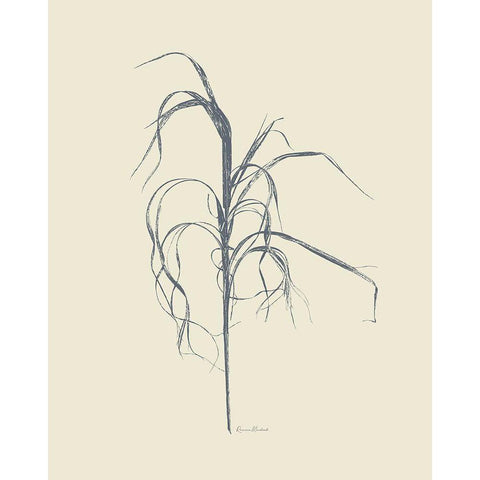 Dried Grasses I White Modern Wood Framed Art Print by Murdock, Ramona