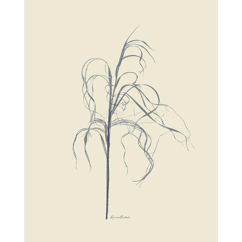 Dried Grasses II Black Modern Wood Framed Art Print with Double Matting by Murdock, Ramona