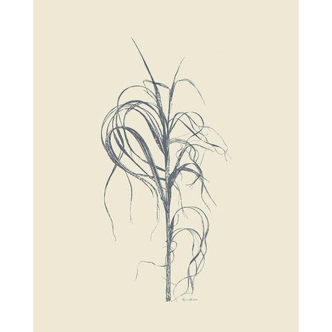 Dried Grasses IV White Modern Wood Framed Art Print by Murdock, Ramona