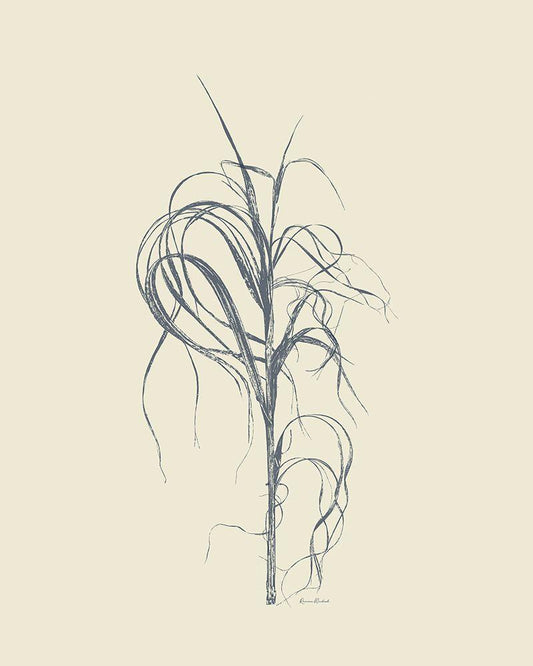 Image Only