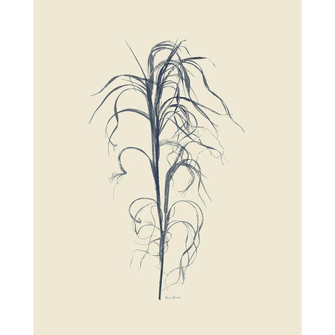 Dried Grasses V Gold Ornate Wood Framed Art Print with Double Matting by Murdock, Ramona