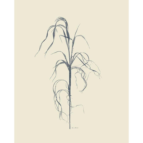 Dried Grasses VI Black Modern Wood Framed Art Print with Double Matting by Murdock, Ramona